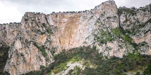 M.te Pellegrino – parete nord